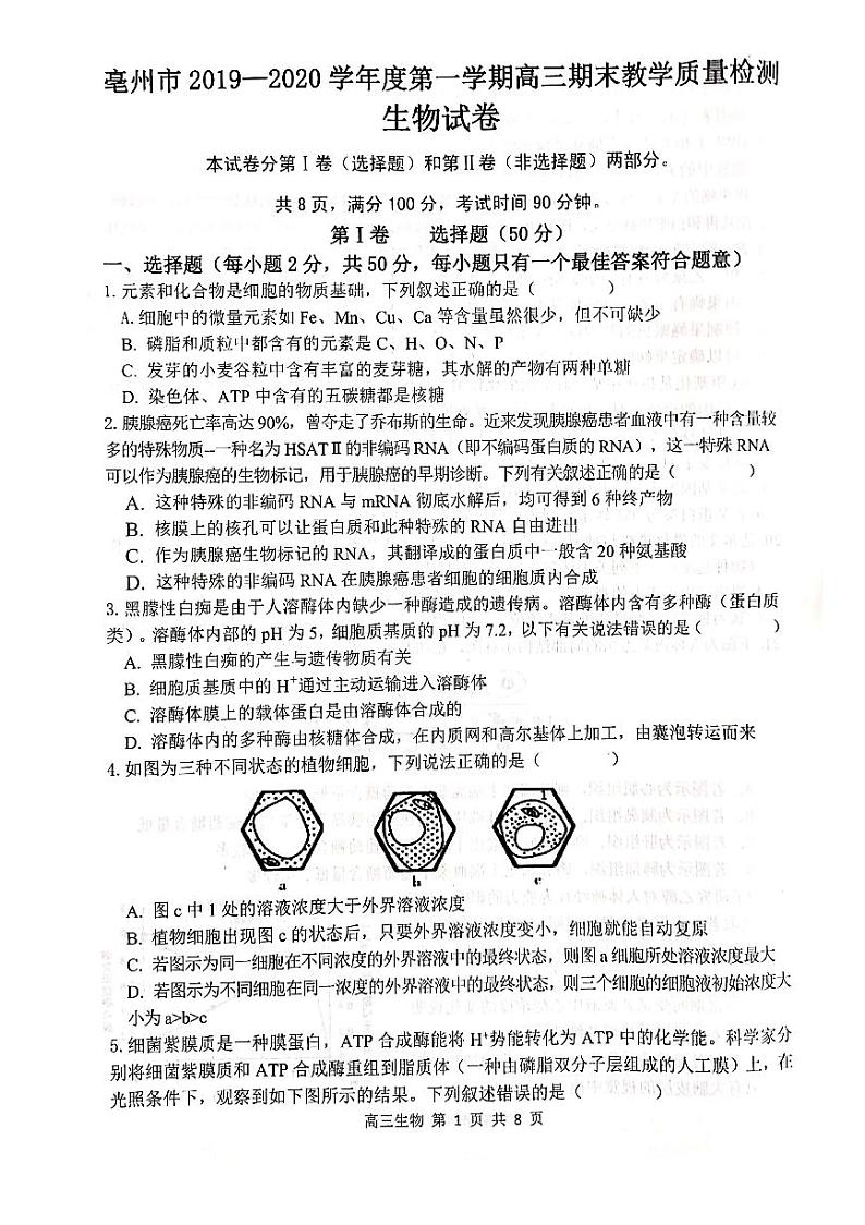 安徽省亳州市2020届高三上学期期末教学质量检测生物试题含答案01
