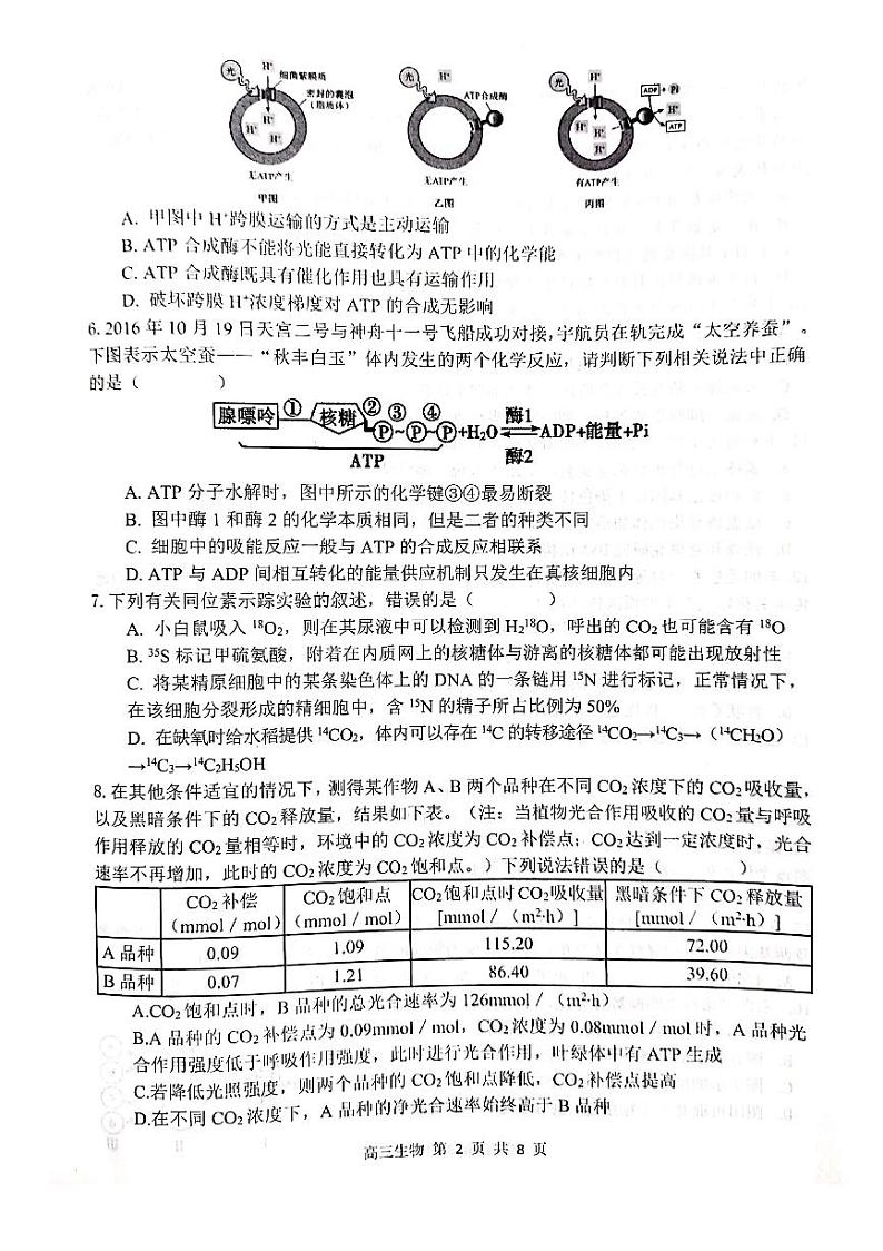 安徽省亳州市2020届高三上学期期末教学质量检测生物试题含答案02
