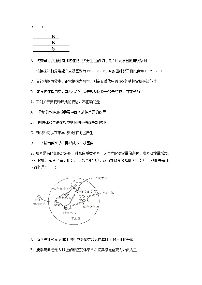 2020-2021学年河北省正定中学高二上学期期末考试生物试题解析版第3页