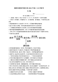 2022届湖南省名校联合体高三上学期10月联考生物试题含解析
