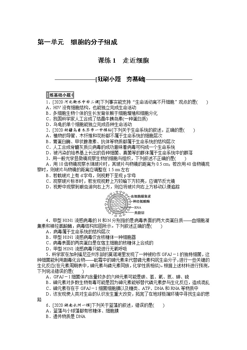 2022 新高考【专题训练1】第一单元 细胞的分子组成--走进细胞(含答案解析)第1页