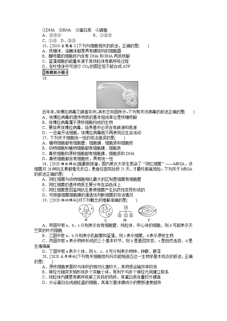 2022 新高考【专题训练1】第一单元 细胞的分子组成--走进细胞(含答案解析)第3页