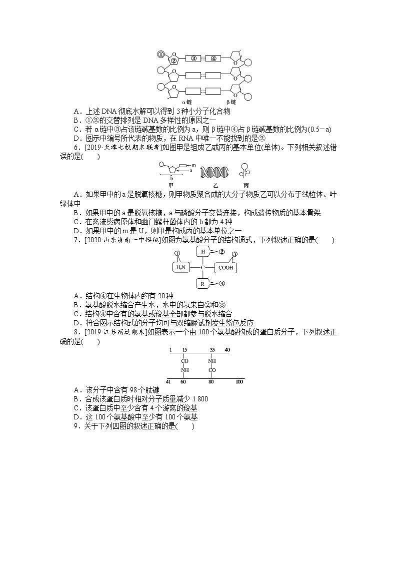 2022 新高考【专题训练3】第一单元 细胞的分子组成--蛋白质和核酸(含答案解析)第2页