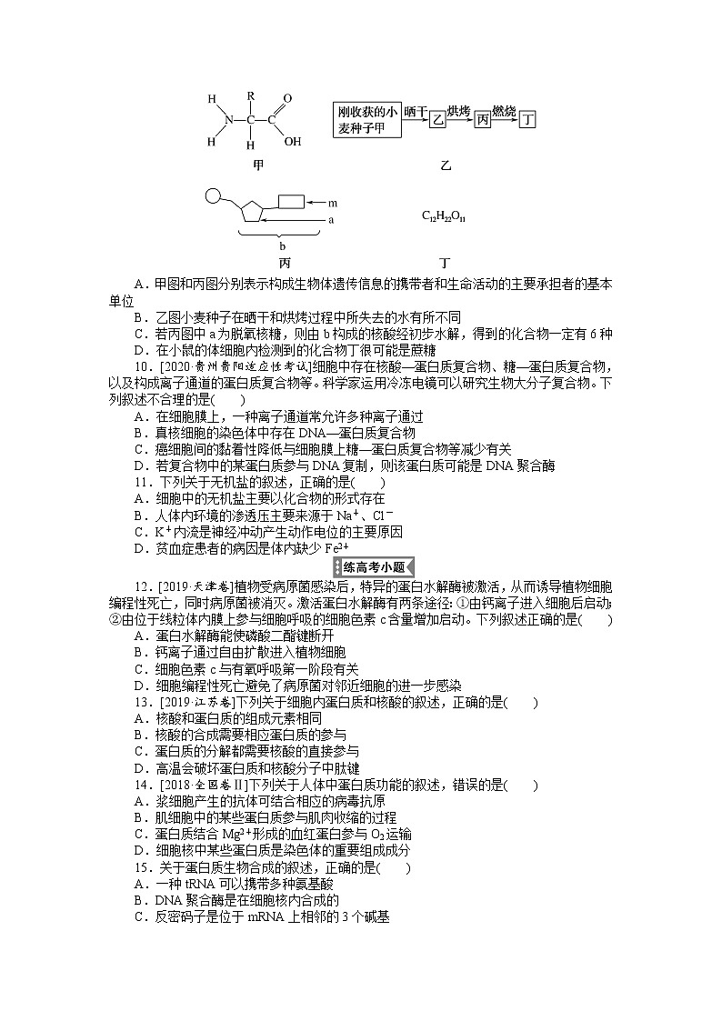 2022 新高考【专题训练3】第一单元 细胞的分子组成--蛋白质和核酸(含答案解析)第3页