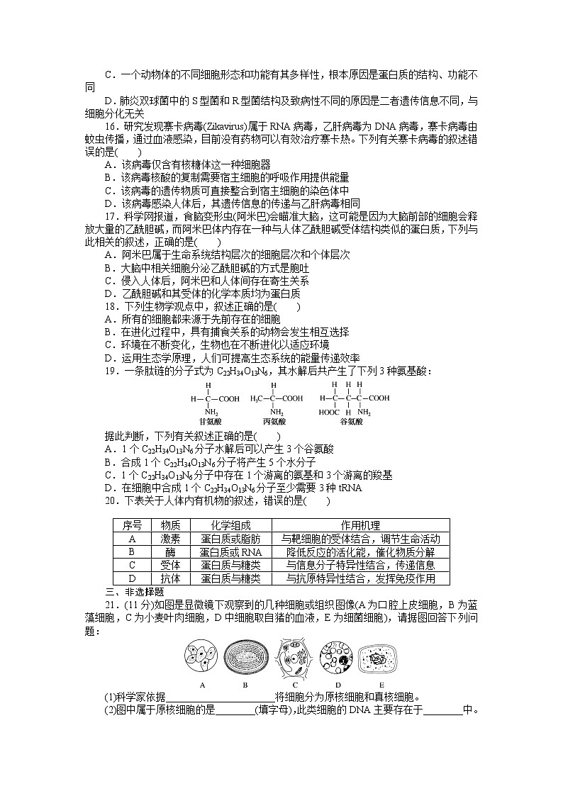 2022 新高考 【专题训练】第一单元 细胞的分子组成--单元质量评估(含答案解析】第3页