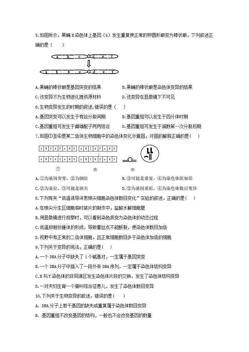 高中生物暑假作业13染色体变异基础训练含解析第2页