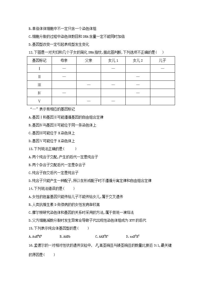 高中生物暑假作业19专项训练一遗传的基本规律综合基础训练含解析第3页