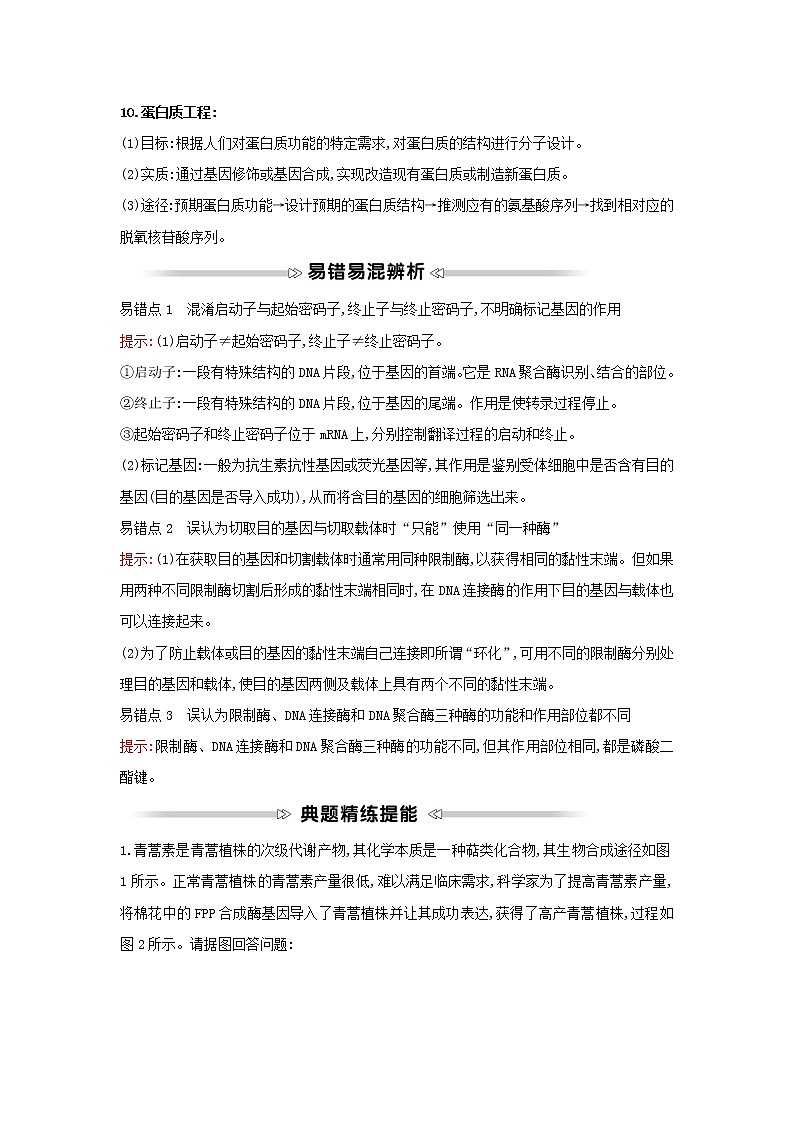 高中生物專題1基因工程模塊提升課學(xué)案新人教版選修3第2頁(yè)
