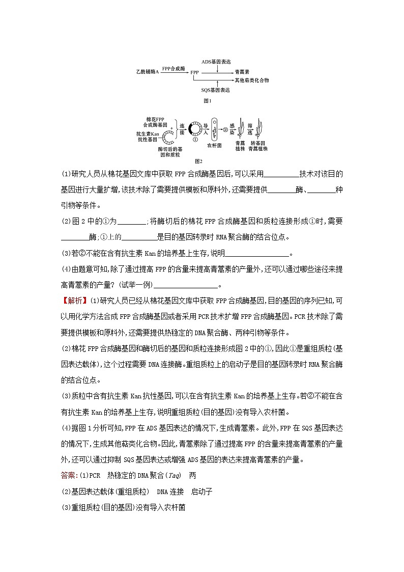 高中生物專題1基因工程模塊提升課學(xué)案新人教版選修3第3頁(yè)