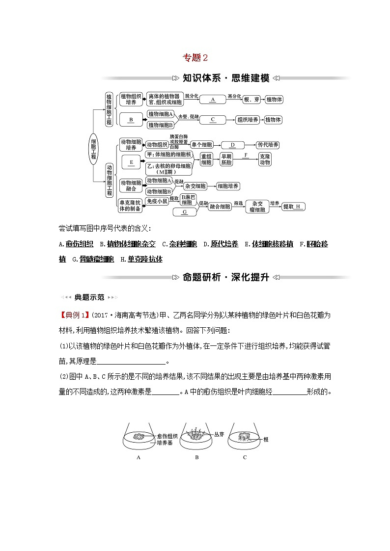 高中生物专题2细胞工程阶段提升课学案新人教版选修301