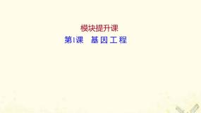 高中生物人教版 (新课标)选修3《现代生物科技专题》专题1 基因工程综合与测试备课课件ppt