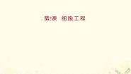 高中生物专题2 细胞工程综合与测试多媒体教学课件ppt