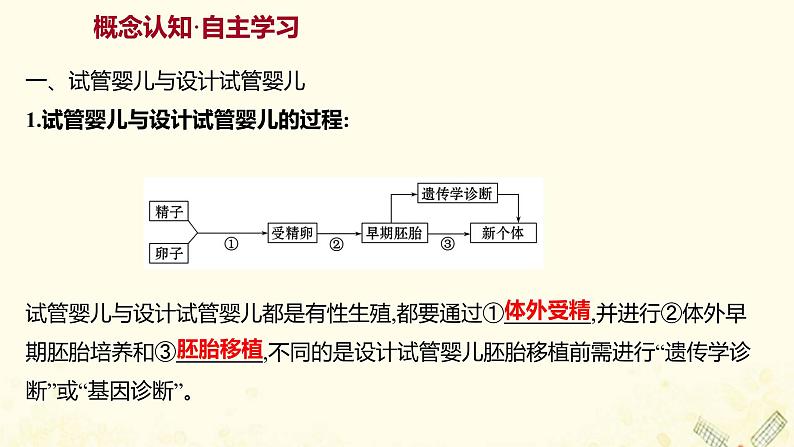高中生物专题4生物技术的安全性和伦理问题2关注生物技术的伦理问题3禁止生物武器课件新人教版选修303