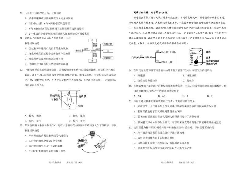 2021-2022学年浙江省绍兴市高一上学期期末调测 生物 PDF版03