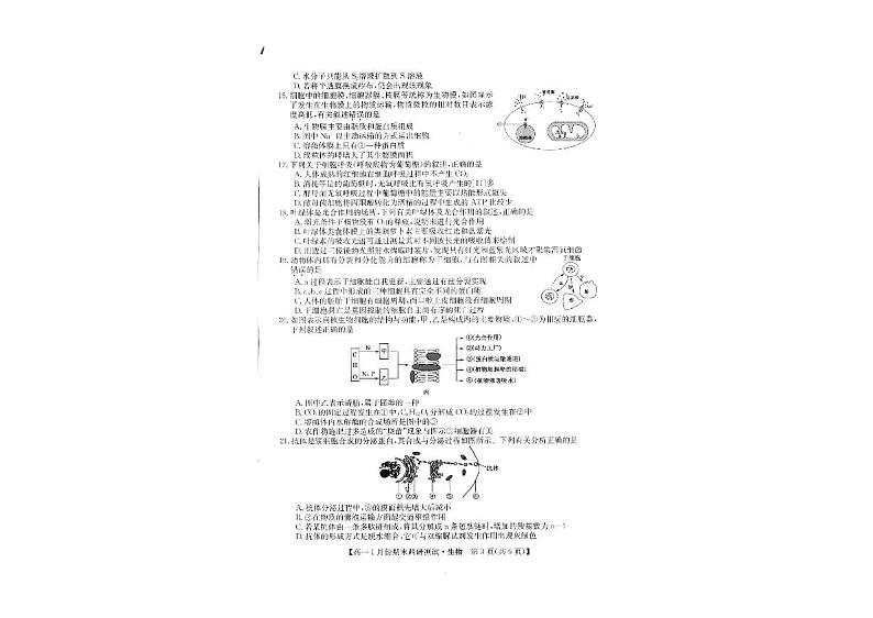 山西省运城市2021-2022学年高一上学期1月期末调研生物试题第2页
