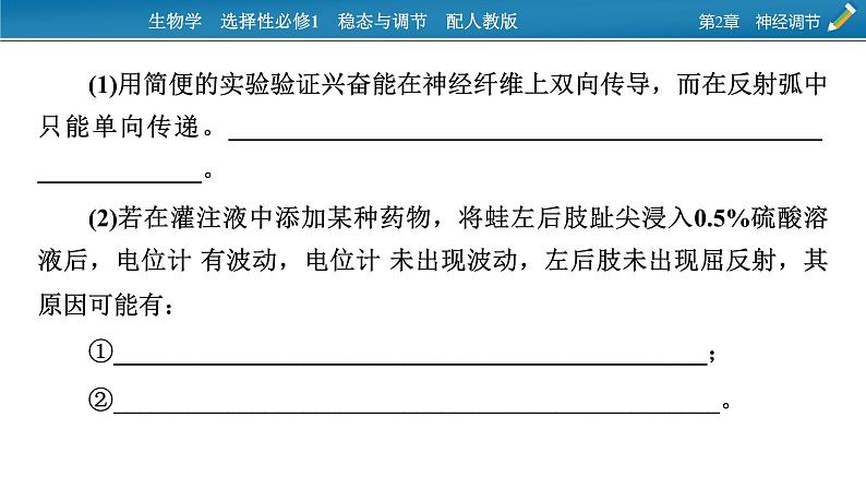 2021-2022学年高中生物新人教版选择性必修1 第2章 神经调节 微专题2 反射弧中兴奋传导特点的实验探究 课件(22张)06
