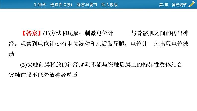 2021-2022学年高中生物新人教版选择性必修1 第2章 神经调节 微专题2 反射弧中兴奋传导特点的实验探究 课件(22张)07
