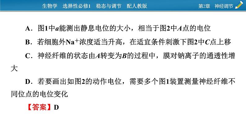 2021-2022学年高中生物新人教版选择性必修1 第2章 神经调节 微专题1 膜电位的测量及电表指针偏转问题分析 课件(23张)第5页
