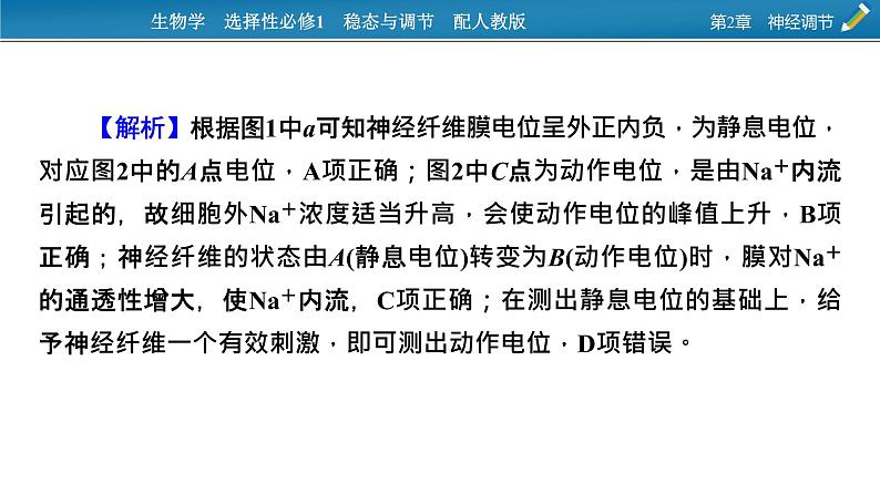 2021-2022学年高中生物新人教版选择性必修1 第2章 神经调节 微专题1 膜电位的测量及电表指针偏转问题分析 课件(23张)第6页