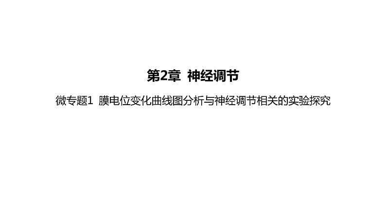 2021-2022学年高中生物新人教版选择性必修1 第2章 微专题1 膜电位变化曲线图分析与神经调节相关的实验探究 课件(31张)01