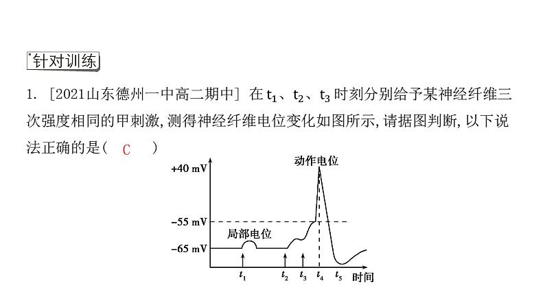 2021-2022学年高中生物新人教版选择性必修1 第2章 微专题1 膜电位变化曲线图分析与神经调节相关的实验探究 课件(31张)06