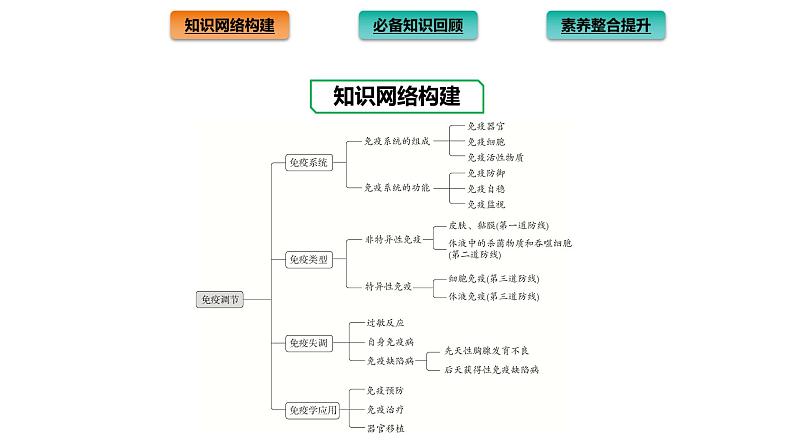 2021-2022学年高中生物新人教版选择性必修1 第4章 免疫调节 章末总结 课件(32张)02