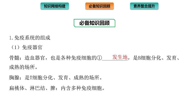 2021-2022学年高中生物新人教版选择性必修1 第4章 免疫调节 章末总结 课件(32张)03