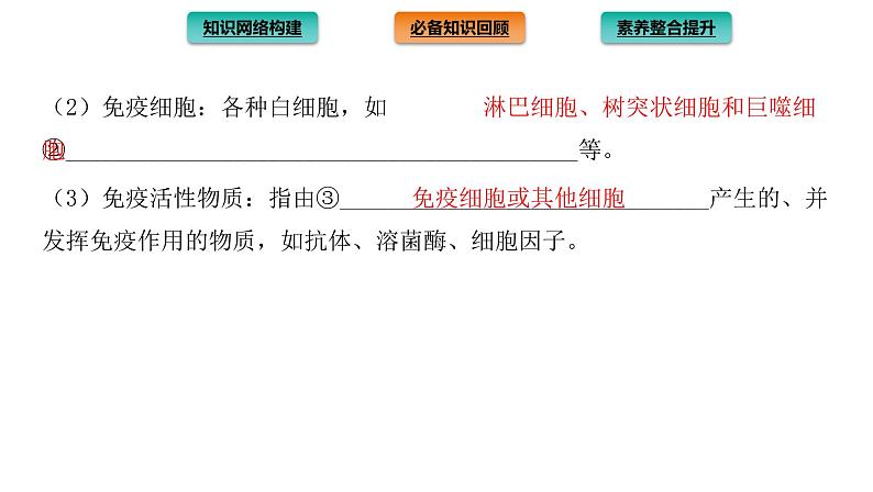 2021-2022学年高中生物新人教版选择性必修1 第4章 免疫调节 章末总结 课件(32张)04