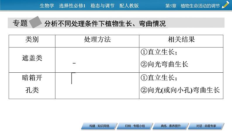 2021-2022学年高中生物新人教版选择性必修1 第5章 植物生命活动的调节 章末总结 课件(31张)05