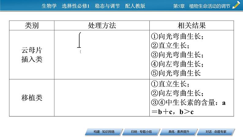 2021-2022学年高中生物新人教版选择性必修1 第5章 植物生命活动的调节 章末总结 课件(31张)06