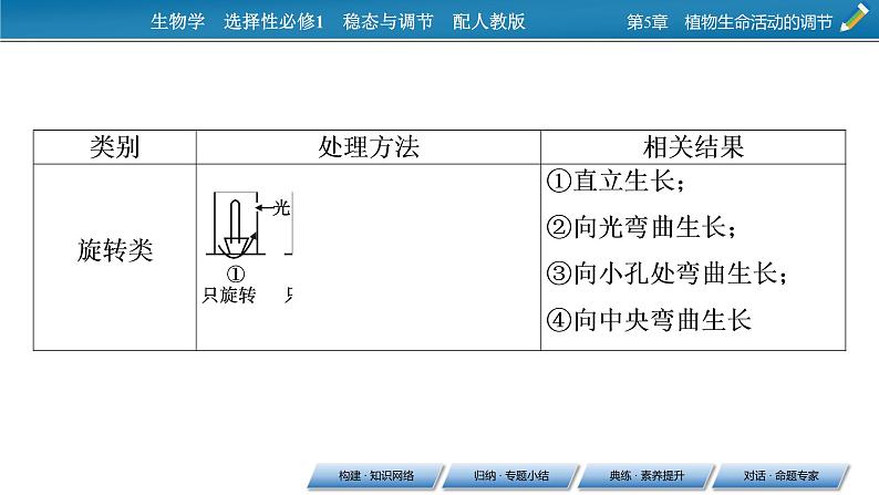 2021-2022学年高中生物新人教版选择性必修1 第5章 植物生命活动的调节 章末总结 课件(31张)07