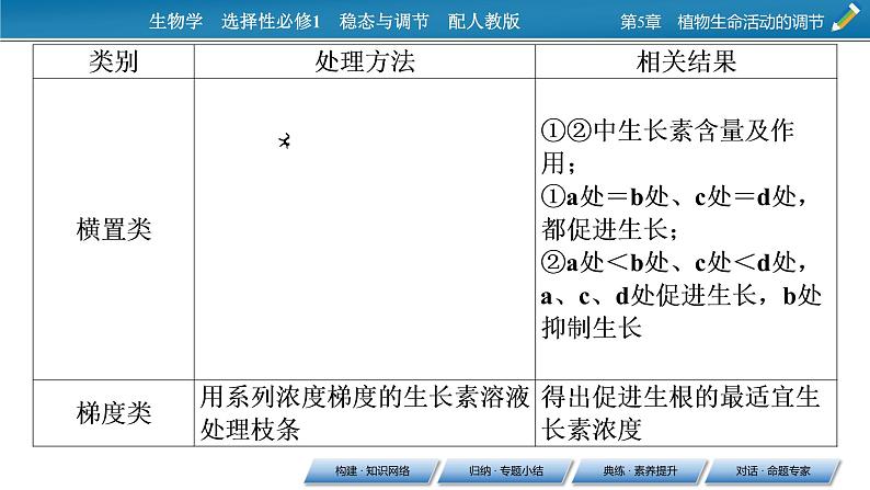 2021-2022学年高中生物新人教版选择性必修1 第5章 植物生命活动的调节 章末总结 课件(31张)08