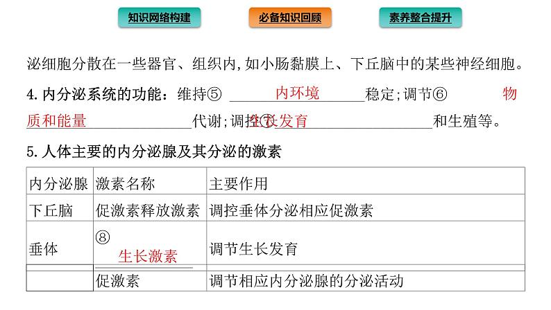 2021-2022学年高中生物新人教版选择性必修1 第3章 体液调节 章末总结 课件(35张)04