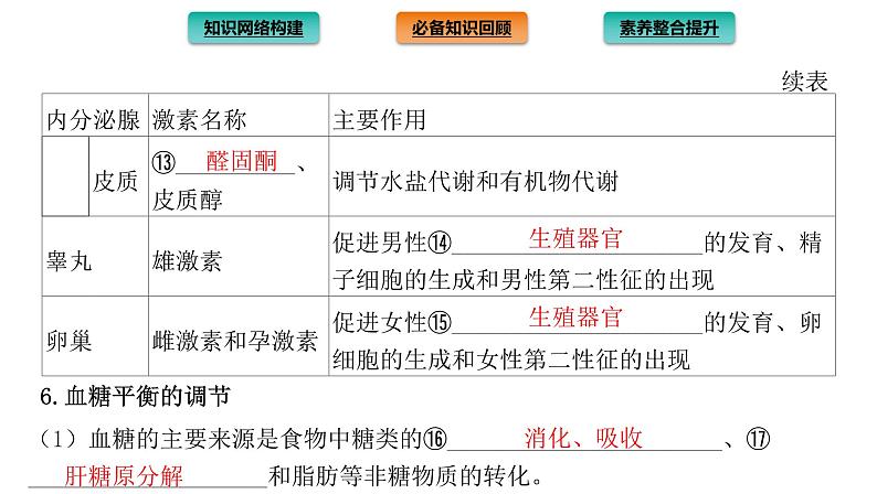 2021-2022学年高中生物新人教版选择性必修1 第3章 体液调节 章末总结 课件(35张)06