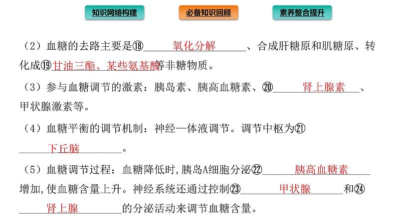 2021-2022学年高中生物新人教版选择性必修1 第3章 体液调节 章末总结 课件(35张)07