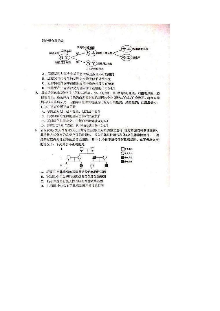 四川省达州市普通高中2020届高三第一次诊断性测试生物试题含答案02