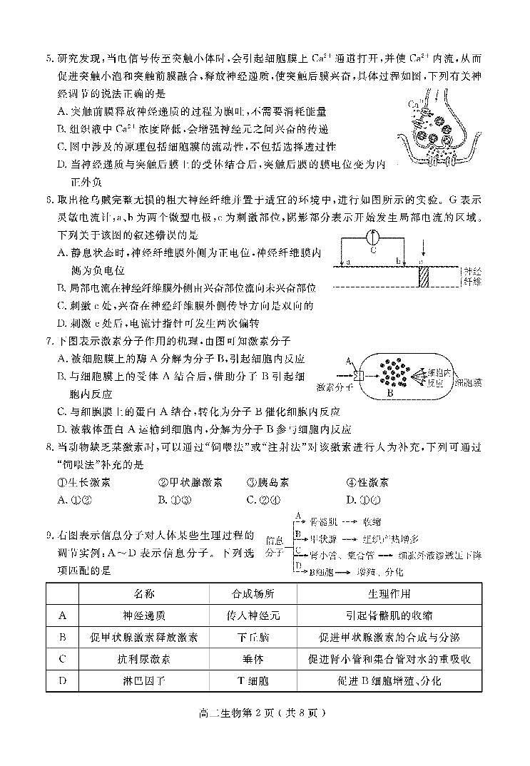 四川省乐山市2020-2021学年高二上学期期末考试生物试题第2页