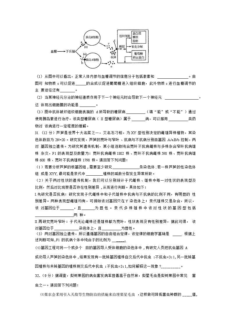 河南省济源市、平顶山市、许昌市2021届高三下学期第二次质量检测生物试题含答案03