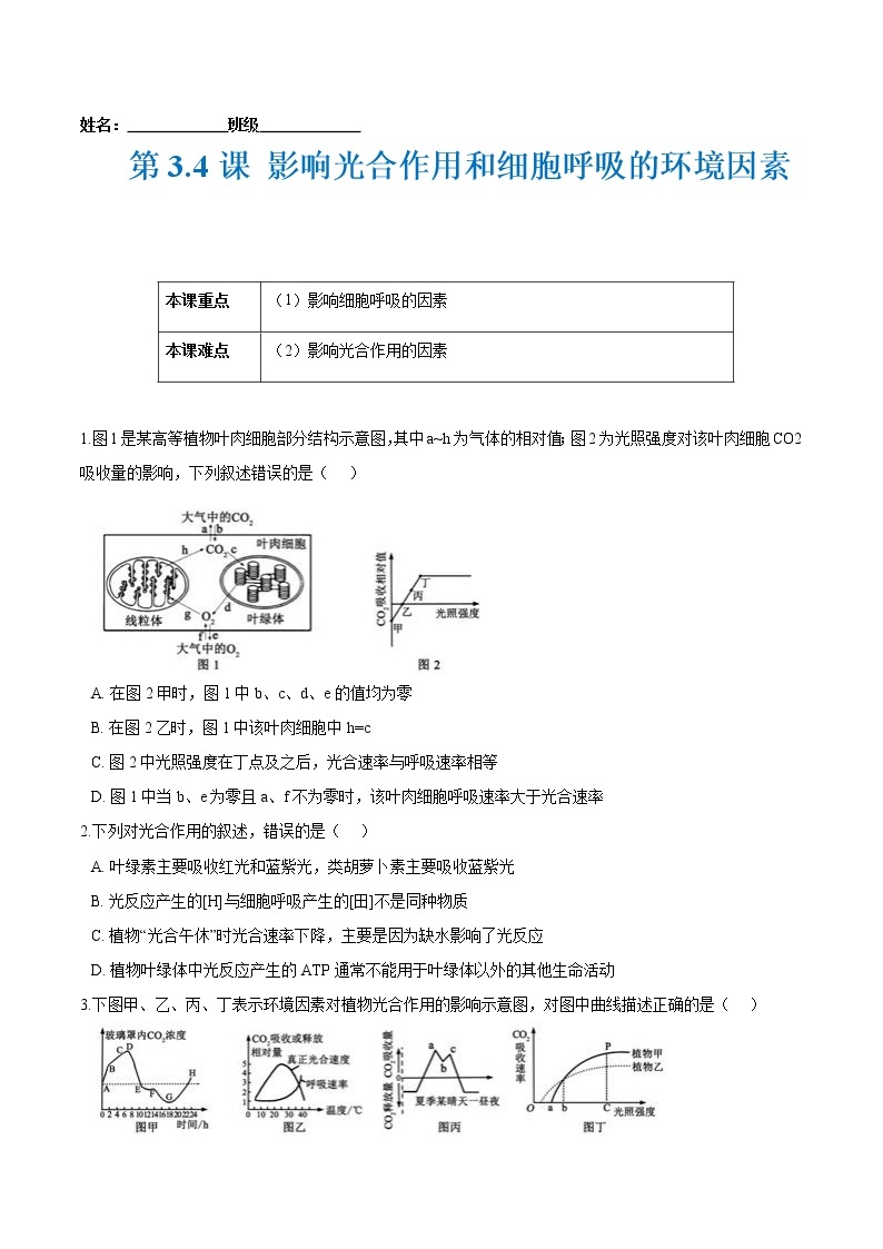 第3.4课 影响光合作用和细胞呼吸的环境因素-2021-2022学年高一生物课后培优练（苏教版2019必修1）01