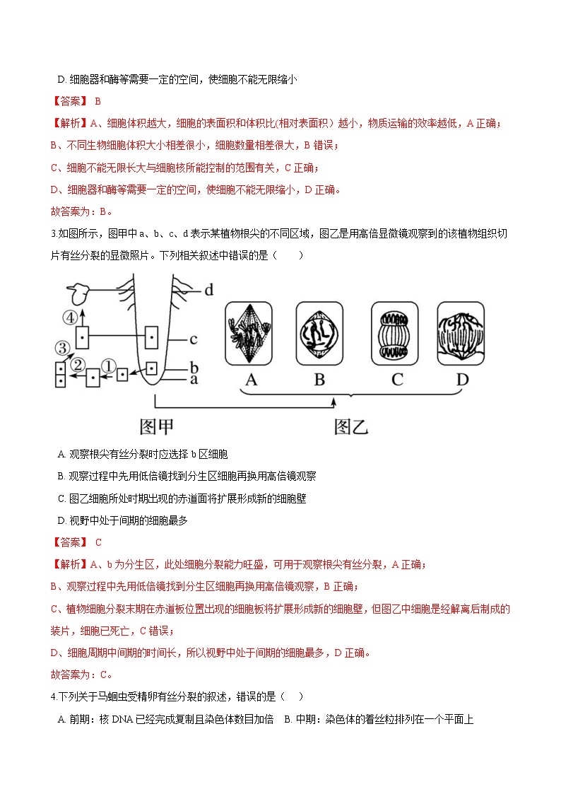 第4.1课 细胞增殖-2021-2022学年高一生物课后培优练（苏教版2019必修1）02