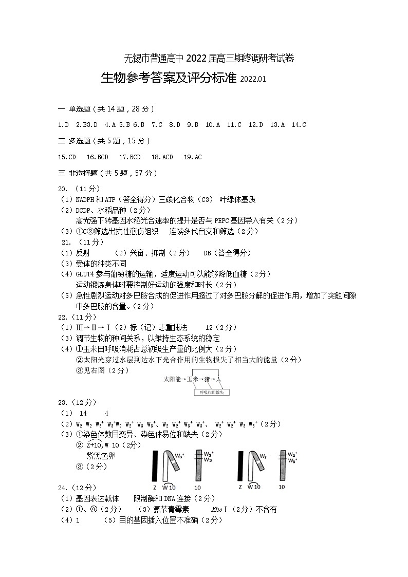 高三生物答案第1页