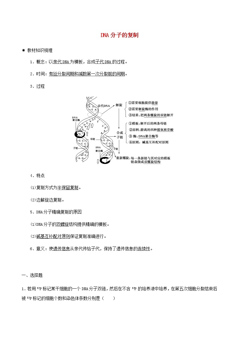 高一生物寒假作业同步练习题DNA分子的复制含解析01