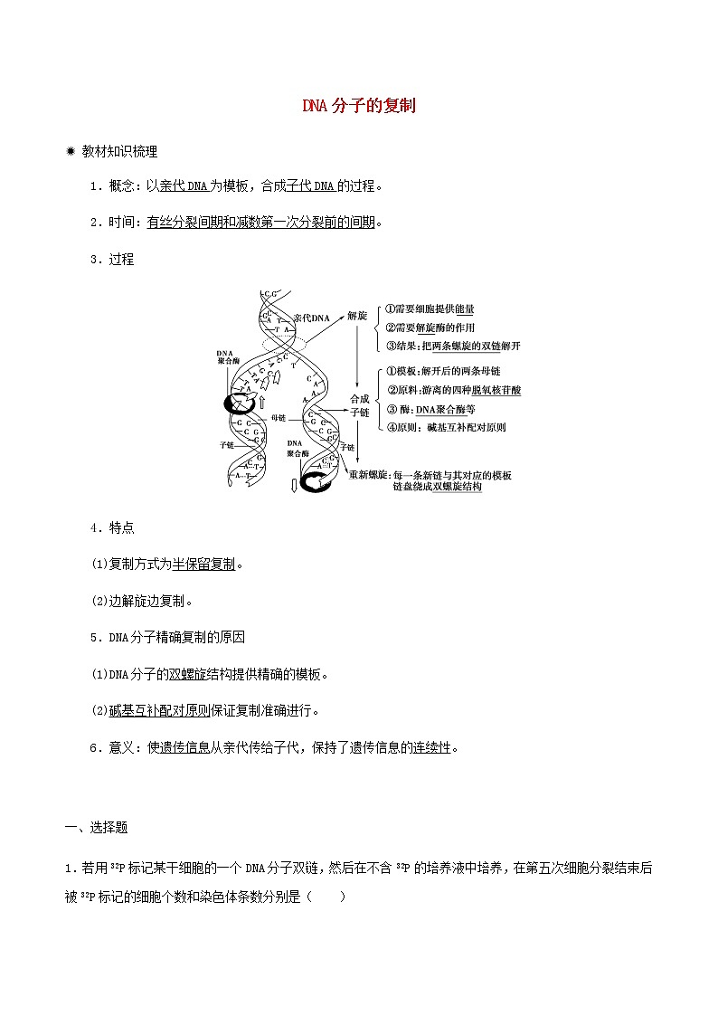 高一生物寒假作業(yè)同步練習(xí)題DNA分子的復(fù)制含解析第1頁(yè)