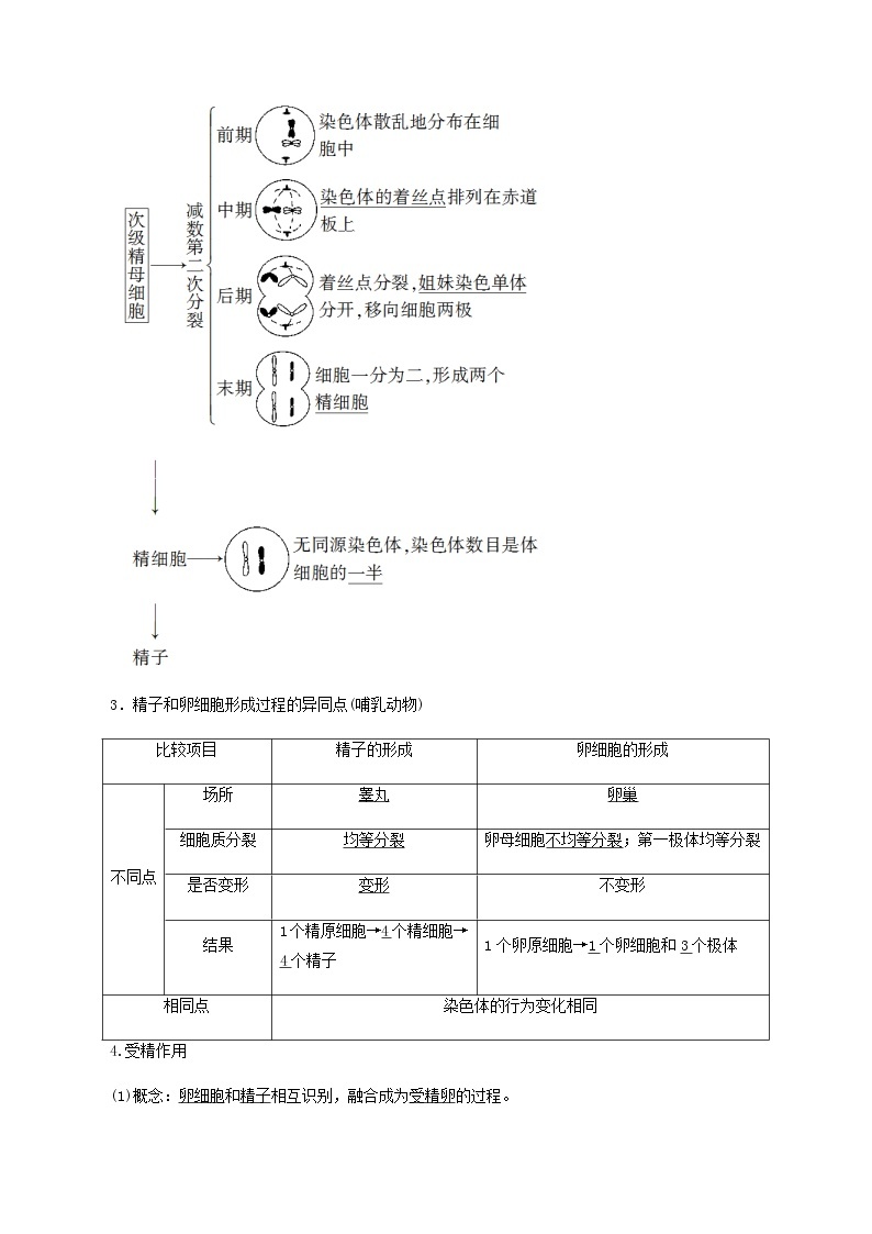 高一生物寒假作业同步练习题减数分裂和受精作用含解析02