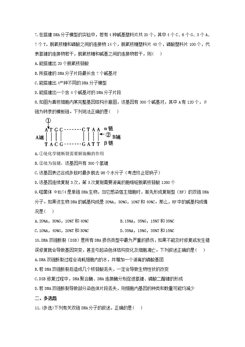 高中生物暑假作业07DNA的结构能力提升含解析 练习02