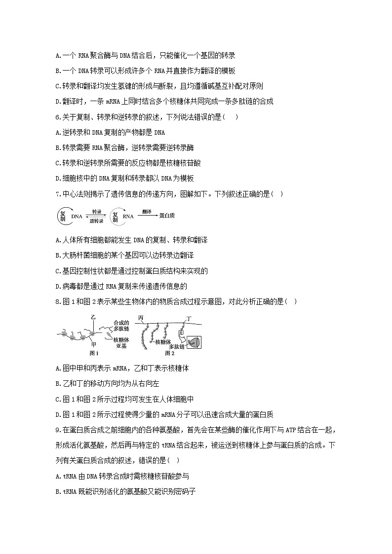 高中生物暑假作业10基因指导蛋白质的合成能力提升含解析第2页