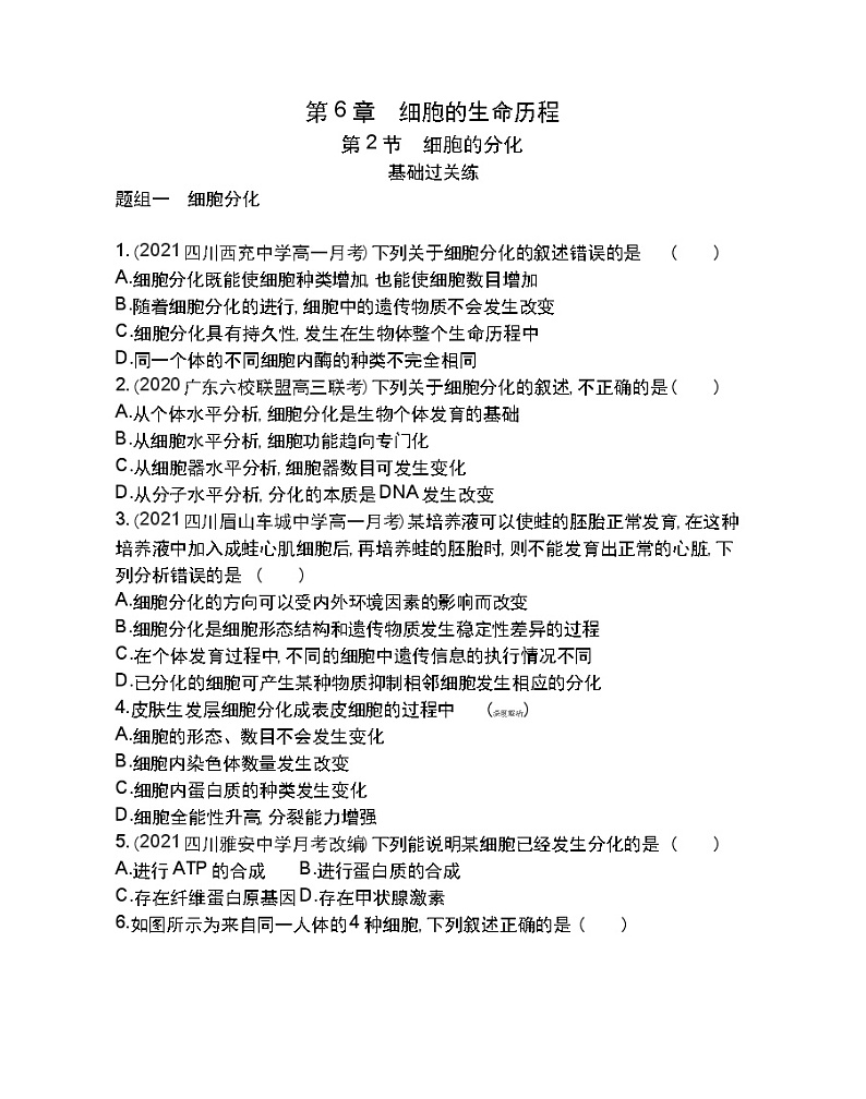 第2节细胞的分化-2022版生物必修1 人教版(新课标) 同步练习 (Word含解析)01