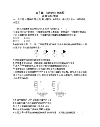 生物必修1《分子与细胞》第六章 细胞的生命历程综合与测试随堂练习题