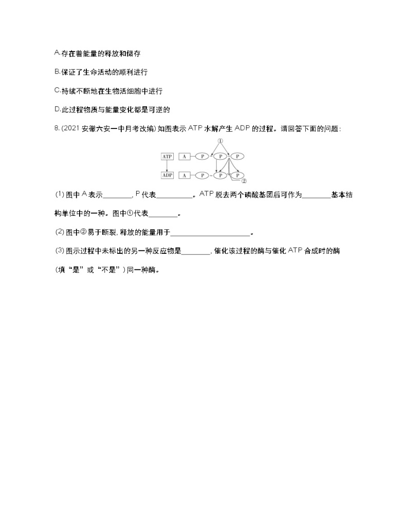 第三课时　ATP是驱动细胞生命活动的直接能源物质-2022版生物必修第一册 苏教版（2019） 同步练习 （Word含解析）03