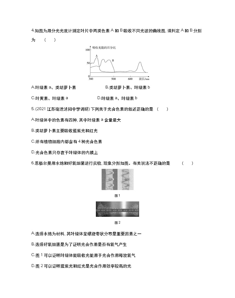 第一课时 解开光合作用之谜、叶绿体与光能的捕获-2022版生物必修第一册 苏教版(2019) 同步练习 (Word含解析)第2页